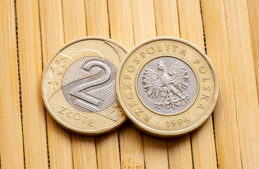 Numizmatyczny skarb: Dlaczego monety 2 złote z Nordic Gold są tak poszukiwane?